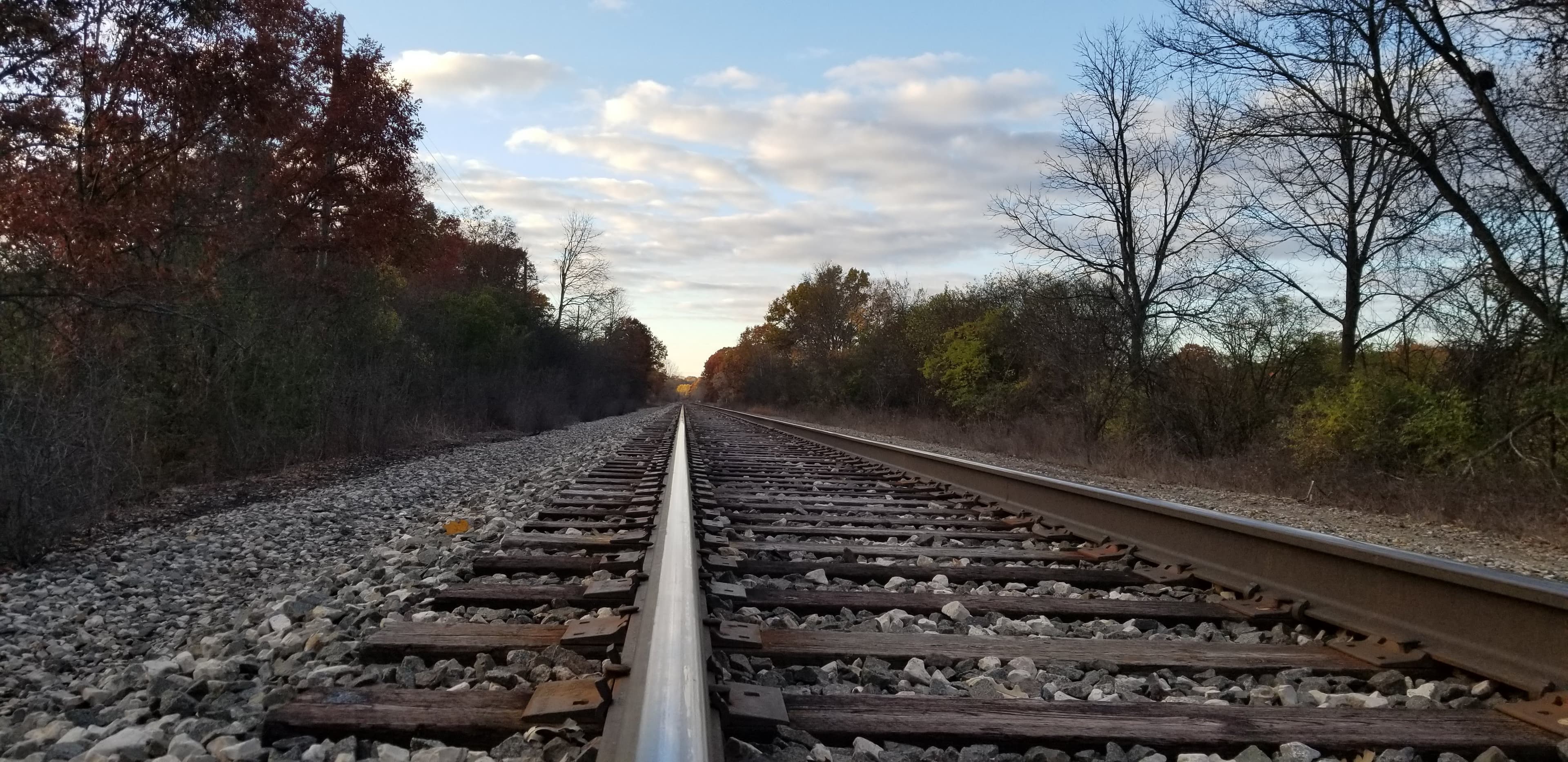 Train tracks vanishing into autumn trees under a wide cloudy sky.